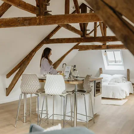 Le Pont D'or Appartement Guichen